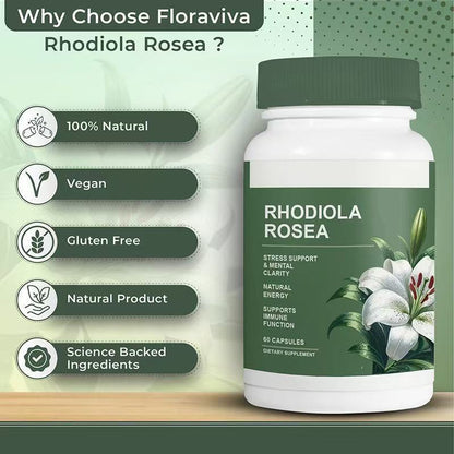 Rhodiola Rosea Adaptogen Capsules